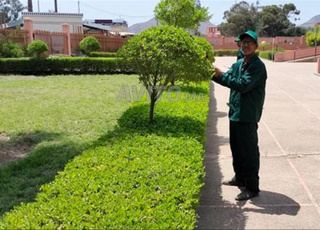 جاردينيي في مراكش