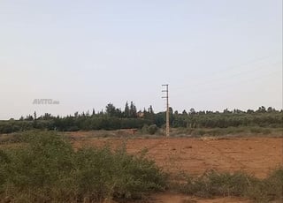 Terrain 25.000 m² Marrakech Ourika