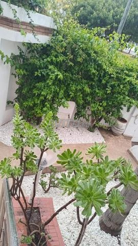 حي الرياض - فيلا واسعة مع حديقة للإيجار - 2