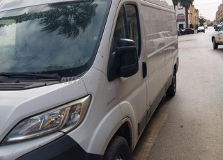 دوكاتو 2020 للبيع