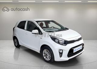 كيا بيكانتو خبير مع تمويل