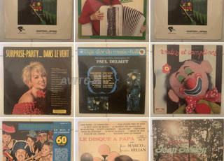 Des disques vinyles 33tours en très bon état.