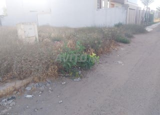 Terrain zone villa à vendre à Berrechid