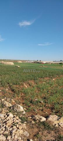 أرض للبيع قرب مدينة الجديدة مساحتها 1138 م²