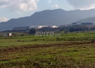 الهمزة لبقعة أرضية محفظة تقع في النواحي تطوان