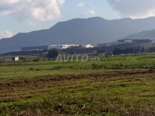 الهمزة لبقعة أرضية محفظة تقع في النواحي تطوان