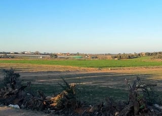 Hectare et demi titré sur goudron, bonne affaire à 48 millions