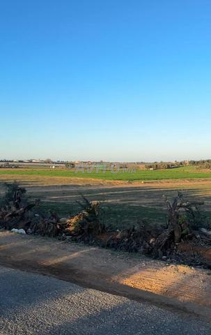 Hectare et demi titré sur goudron, bonne affaire à 48 millions