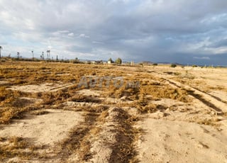 Terrain à vendre superficie 10000 mètres route de Fas