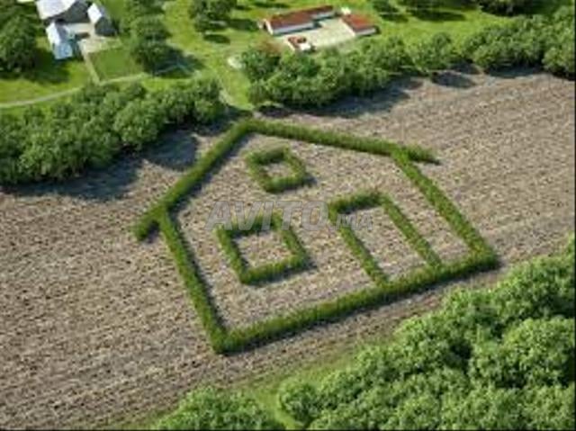 بيع أرض R PLUS 1 بمساحة 100 متر مربع في أليانس مهدية