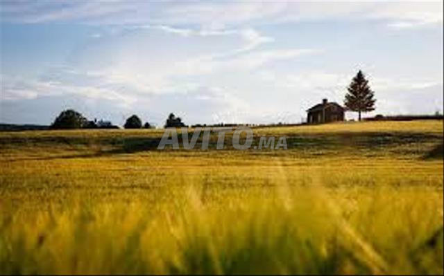 بقعة أرض فيلا 315 متر مربع في RIAD1 BIRAMI القنيطرة