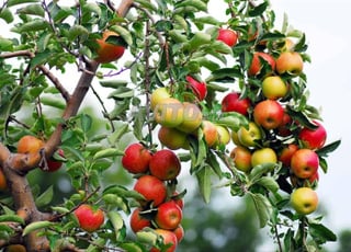 Ferme titrée à vendre