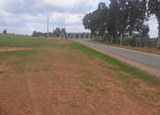 Terrain agricole 15 Hectares à vendre Tiflet