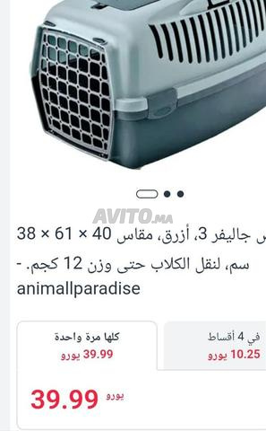 أفوندير قفص نقل