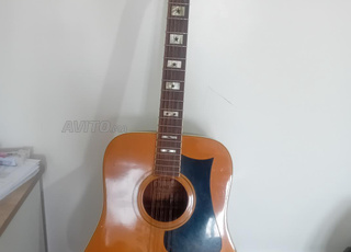 إيبانيز 12 وترًا صوتية