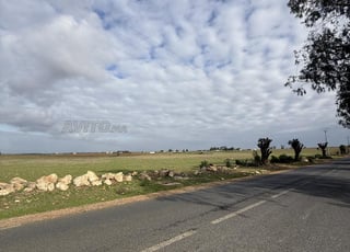 Hectare titre foncier à vendre