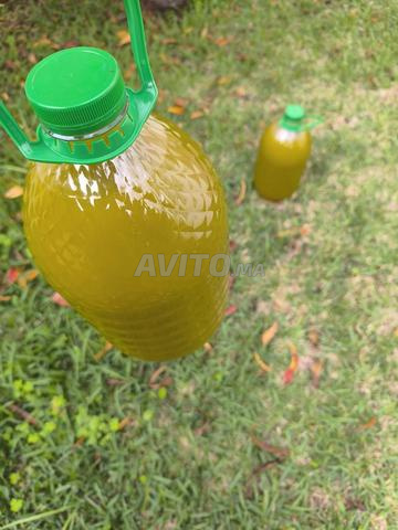 بيع زيت زيتون بكر ممتاز