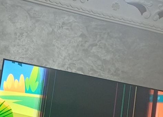 chawmi55 سقطة من حاءة وتضررة