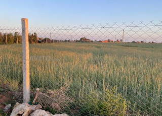 Lot de terrain agricole