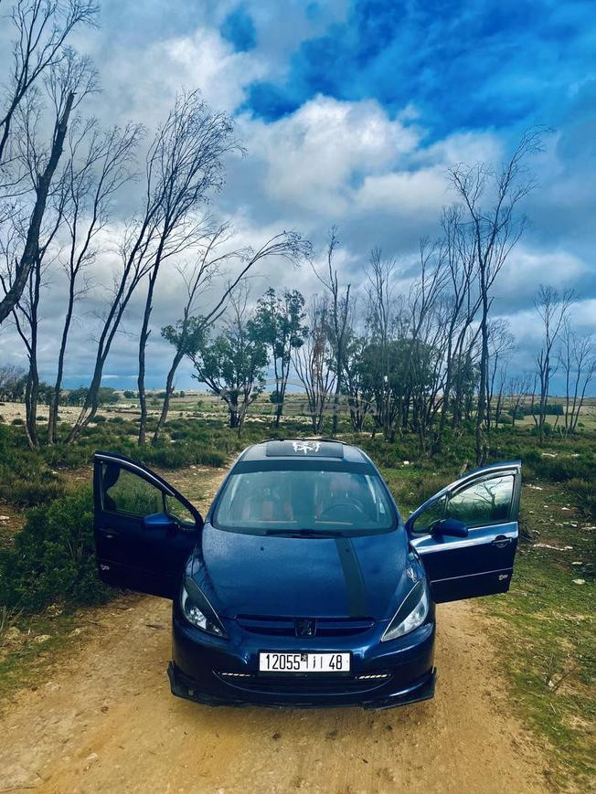 Peugeot307