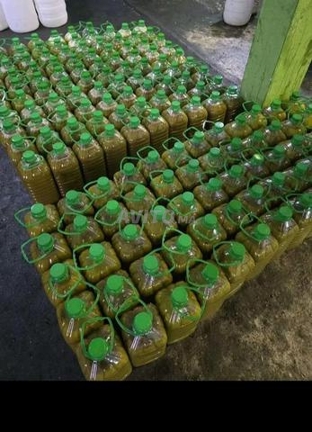 De la presse de Taaza à chez vous, prenez de l'huile d'olive vierge locale