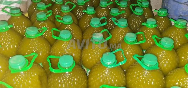 الجودة في زيت زيتون الحرة منطقة تازة - 2