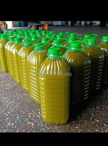 Qualité de l'huile d'olive vierge de la région de Taza