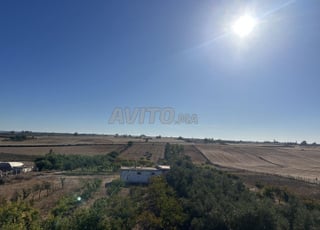 Ferme agricole de 4 hectares avec villa et piscine