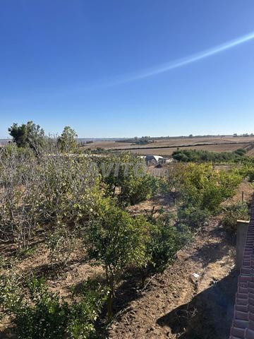 Ferme agricole de 2,5 hectares ZEir - 2