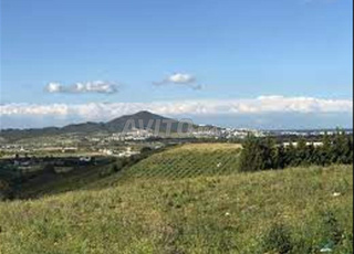 Terrain cinq hectare à malaliyen Tétouan