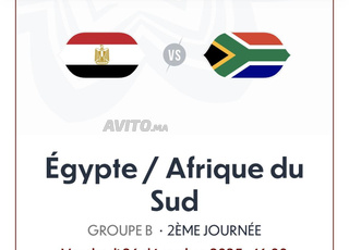 BILLET EGYPTE -AFRIQUE DE SUD