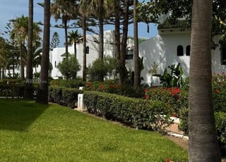 Terrain à vendre Hay Mohammadi 145m