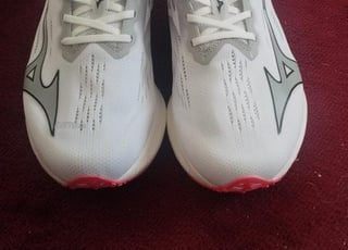 Mizuno Wave Rebellion Pro 2