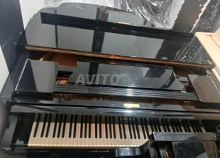 بيانو PETROF ربع ذيل