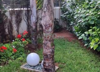 للكراء شقة فارغة في كاليف