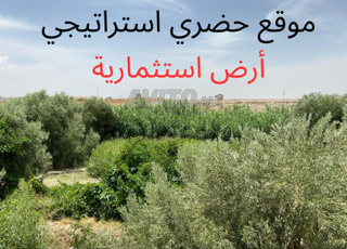 Opportunité d'investissement à Guercif Terrain H3 pour construction R3