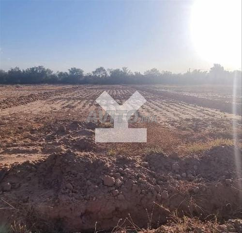 154971-Vente Terrain à Marrakech Sidi Abdellah Ghiat