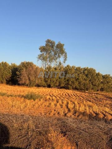 Terrain titré à vendre à Ait Ourir, précisément à Azentoua