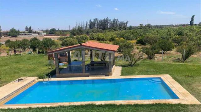 مزرعة فاخرة للبيع على بعد 20 دقيقة من سلا