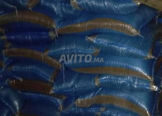 Halleba Bilad en gros