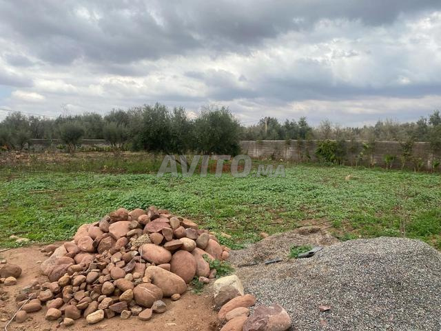 Vente Terrain agricole de 1600 m2 à Marrakech