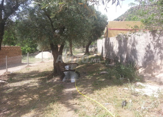 Terrain touristique à TAMOUDJOUTE