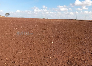 ارض مليحة والتمن مزيان بزاف 