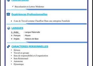 سائق محترف ذو خبرة