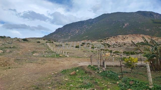 5 parcelles خمس قطع أرض