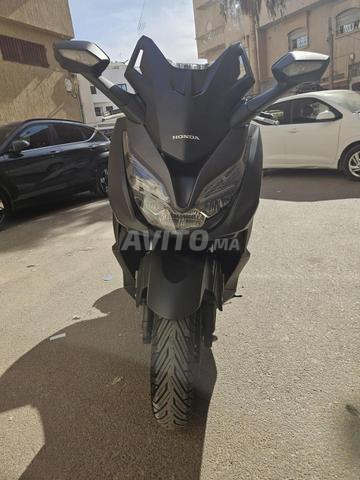 Honda Forza 350 cc tt option