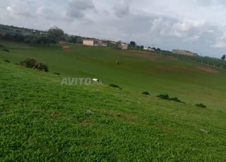 Commune Sidi Abderrazak Tiflet