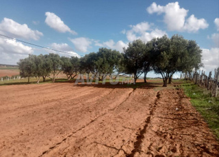 Centre Sidi Abderrazak, cercle de Tiflet, province de Khémissat