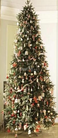 شجرة عيد الميلاد Shishi 2.75 م