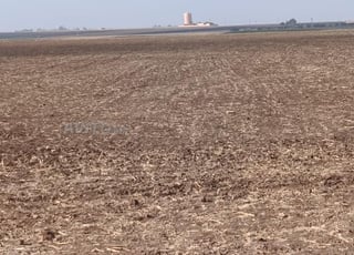 Terrain agricole 3 ha à vendre – Berrechid